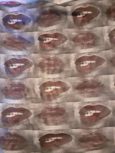 Photo of free Red lips printed net (Birmingham City Centre B1) #1