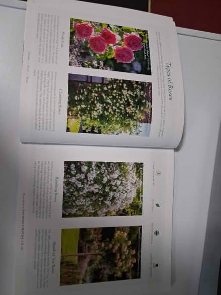 Photo of free Handbook of Roses 2025 (Woolton L25) #2