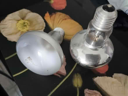 Photo of free 8x60w R80 bulbs (HA7. Nr Stanmore station) #1