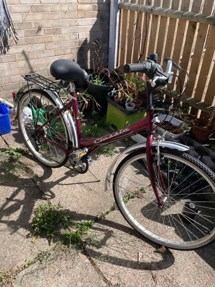 Photo of free Bike, with punctures (Earlham NR4) #1