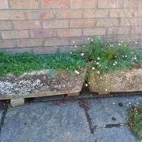 Photo of free 2 Garden Planters (Kenn Road BS21) #1