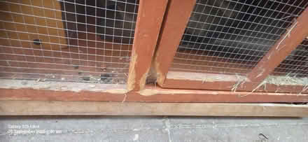 Photo of free 5ft pets at home hutch (Watford WD244GL) #4