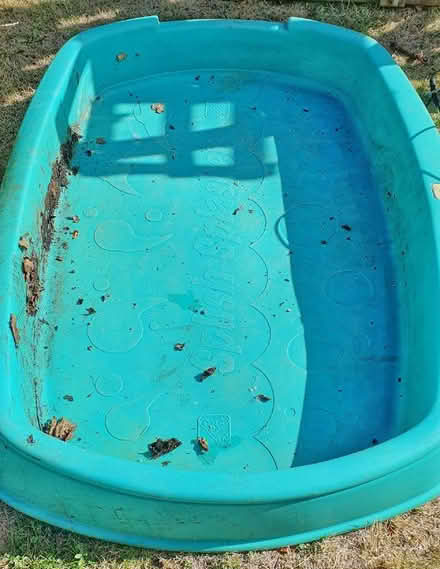 Photo of free Pool for dogs or wildlife (Milton Keynes Village MK10) #1