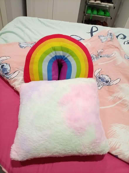 Photo of free 2 small cushions (Worsborough S705PF) #1