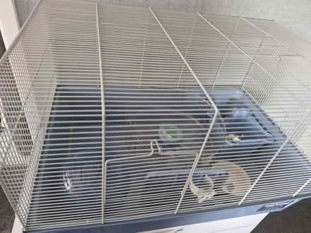 Photo of free Pet stuff (Stradbroke S13 8rp) #1
