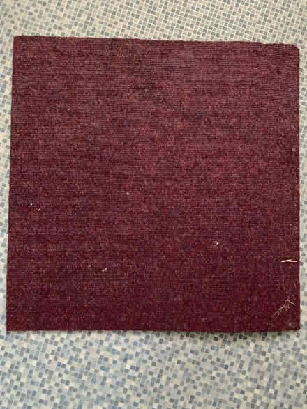 Photo of free Carpet tiles (Edgbaston B5) #1