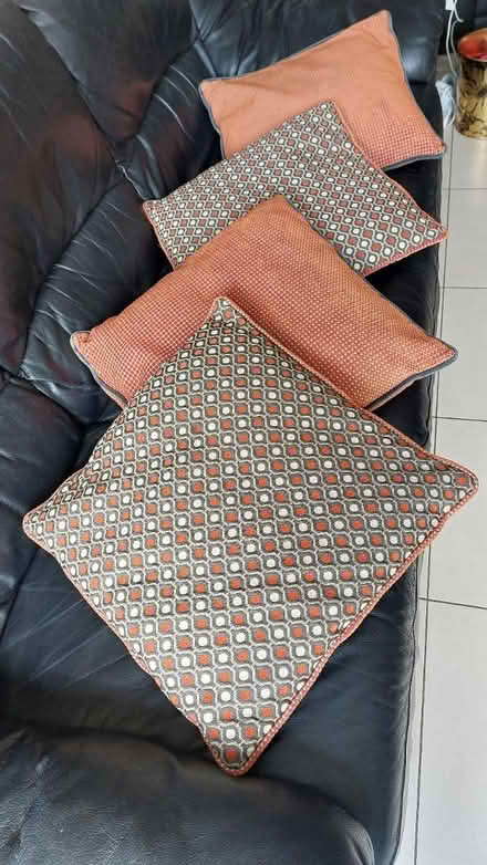 Photo of free 4 cushions (Belfast BT11) #1