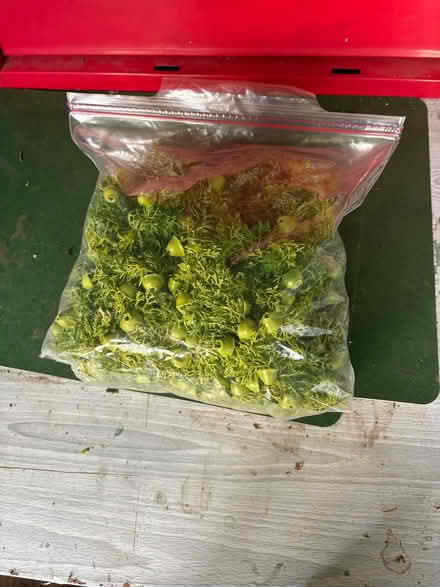 Photo of free fake grass and other fake greenery (Chickenley WF12) #1