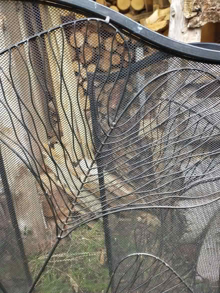 Photo of free Decorative fire guard (Little Wenlock TF6) #2