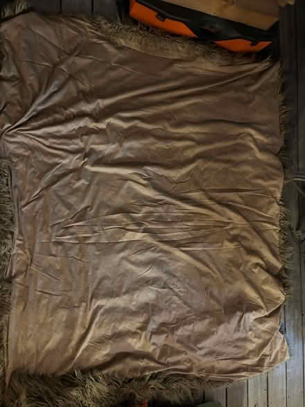Photo of free Beautiful Abigail Ahern throw (Catford South SE6) #2