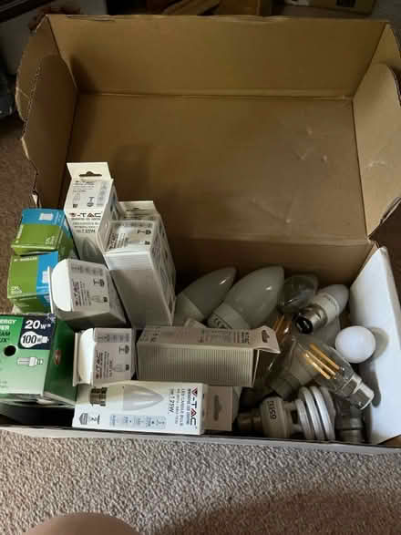 Photo of free Light bulbs (TN32) #1