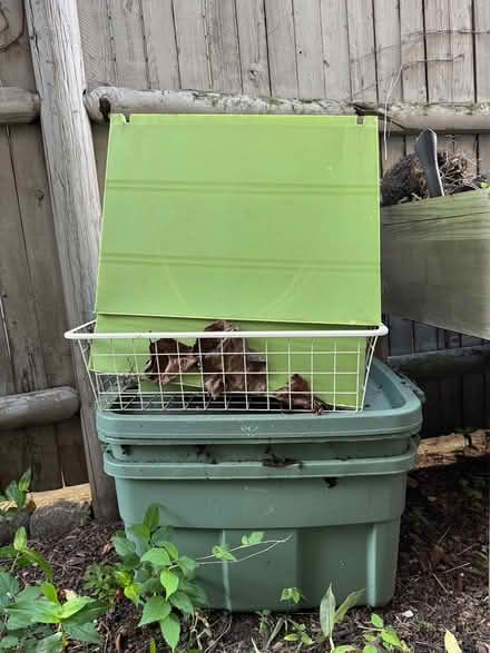 Photo of free Bins (7), various sizes/types (South Boston) #1