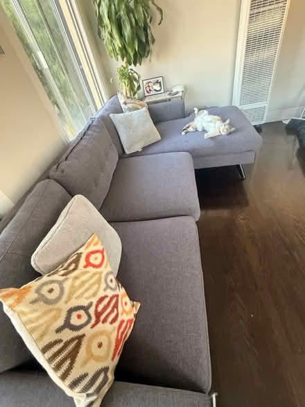 Photo of free Gray sectional sofa (Alameda) #4