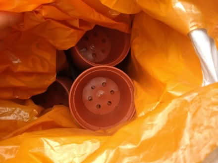 Photo of free Various plant pots (Coventry CV6) #4