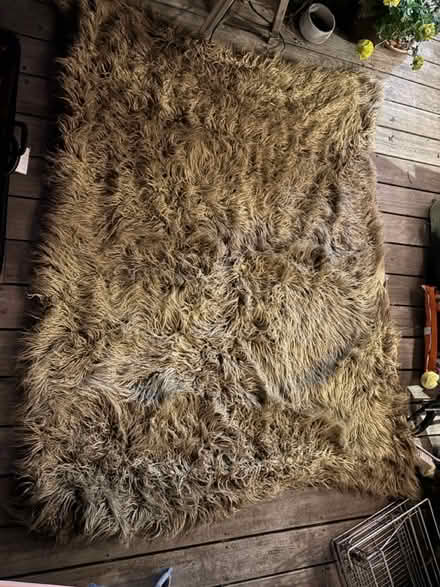 Photo of free Beautiful Abigail Ahern throw (Catford South SE6) #1
