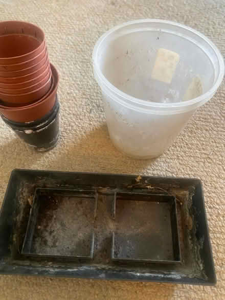 Photo of free Plant pots (SE8 Deptford) #2