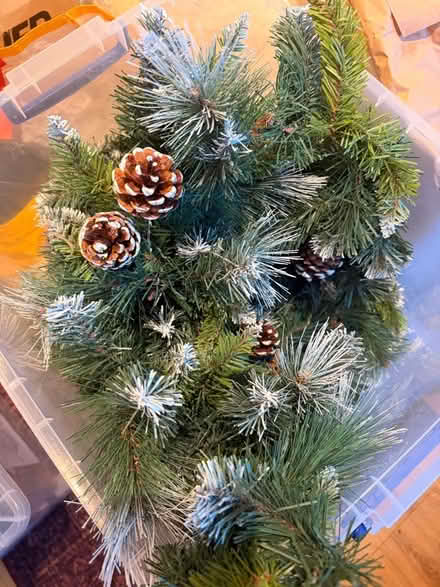 Photo of free Xmas berry garland - pine garland - frosted cones (Highbury N5) #2