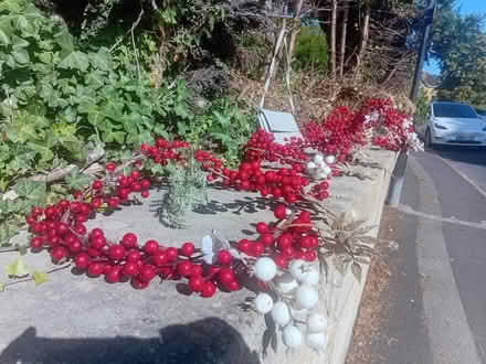 Photo of free Brand new Christmas decoration (Upper oldfield park) #4