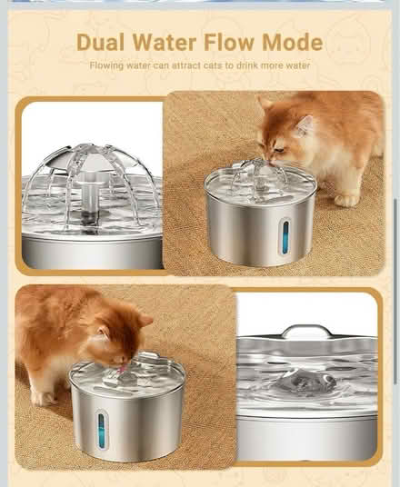 Photo of free Water fountain for cats (southfields SW18) #1