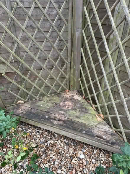 Photo of free Garden Corner Arch (Thomas Mills High School IP13) #2
