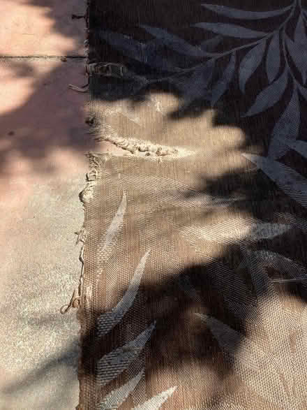 Photo of free Outdoor carpet, brown, 9'10"x7'10" (Fremont (Warm Springs)) #3