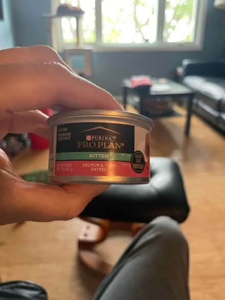 Photo of free Purina kitten food- wet (Quincy point) #1