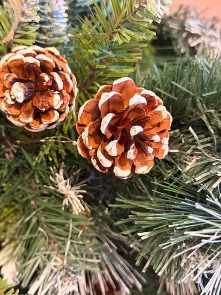 Photo of free Xmas berry garland - pine garland - frosted cones (Highbury N5) #4
