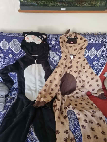 Photo of free Onesies - cat and dog, approx age 11 (Grandpont OX1) #1