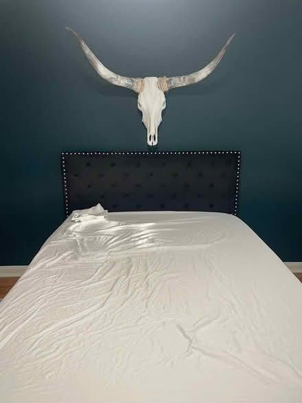 Photo of free Queen size black velvet bed (Riverside) #2
