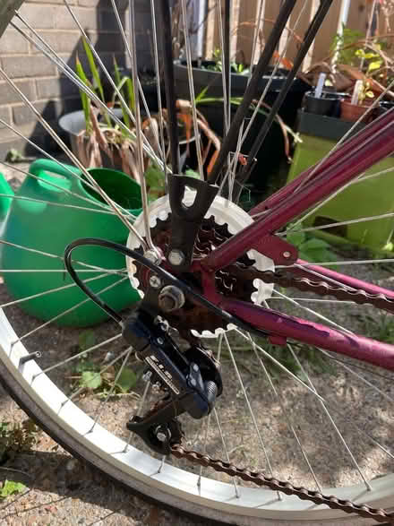 Photo of free Bike, with punctures (Earlham NR4) #4