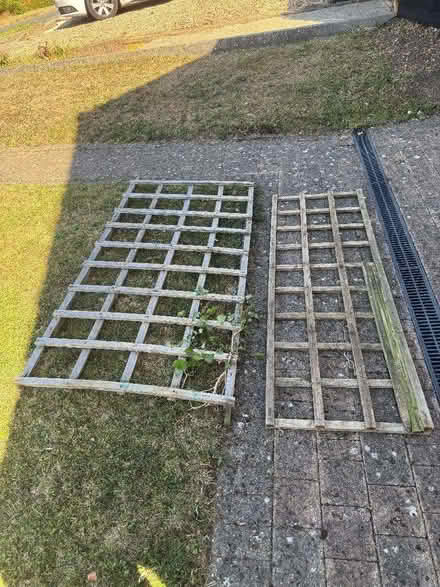 Photo of free trellis (Barkham RG41) #1