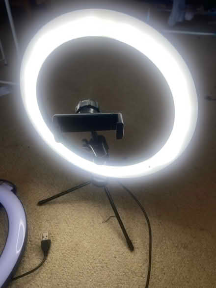 Photo of free 2 ring lights (SE8 Deptford) #1