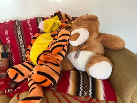 Photo of free Huge tiger and bear (TW12 - Hampton Hill) #1
