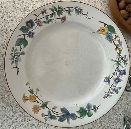 Photo of free Dinner plates x 8 (Dean Court OX2) #1