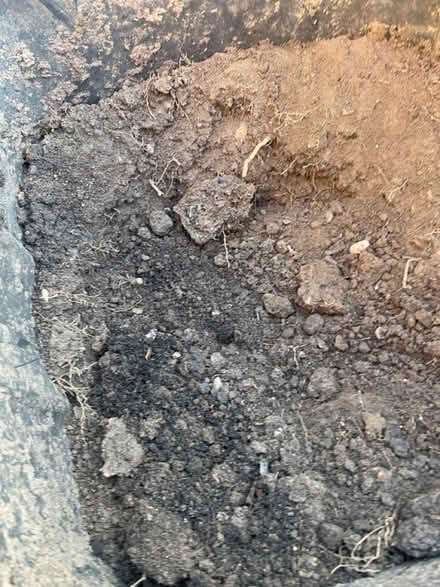 Photo of free wheely bin full of soil (Morden SM4) #2