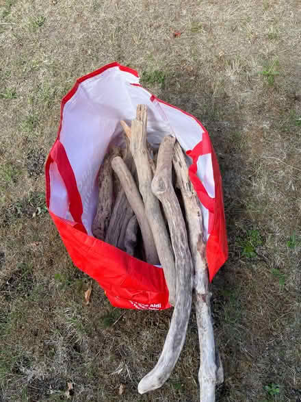 Photo of free Driftwood (St Julians AL1) #1