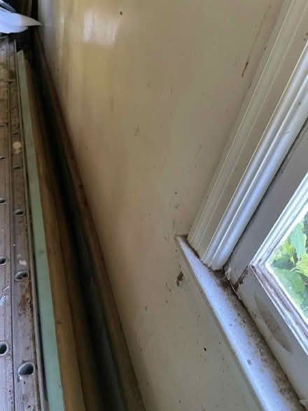 Photo of free fiberglass driving board (Pittsford) #2