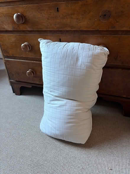 Photo of free Feather pillow (Homerton E9) #1
