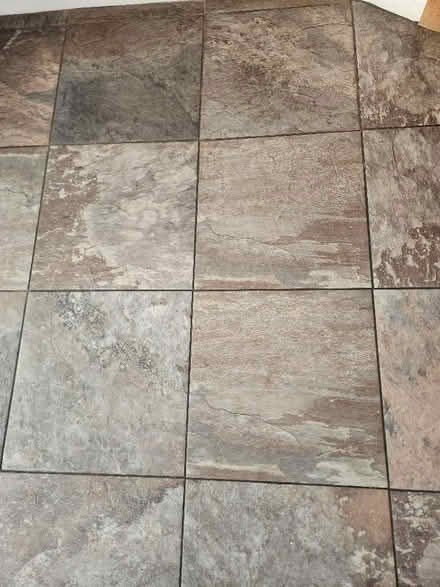 Photo of free Approximately 50 used floor tiles (Howle TF9) #2