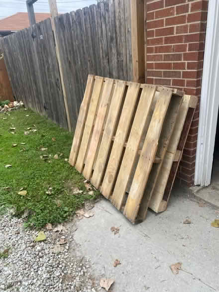 Photo of free 2 pallets (Skokie) #1