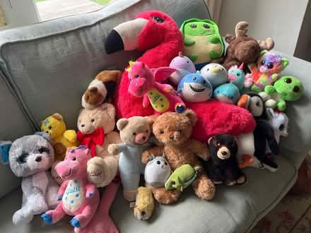 Photo of free Cuddly toys (Kilmacanogue) #1