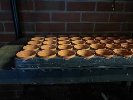 Photo of free Seedling tray with small flower pots (Fobbing SS17) #3