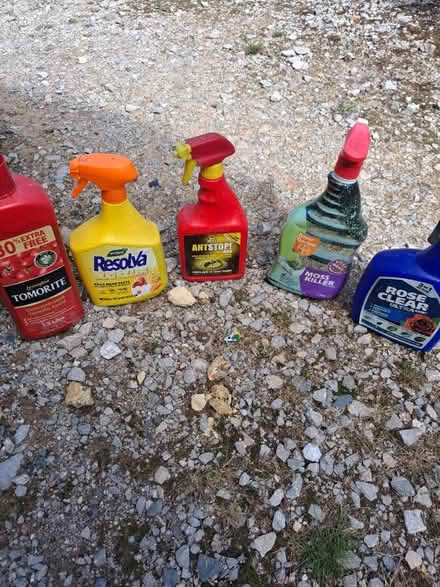 Photo of free Garden products (Wimborne,Colehill) #1