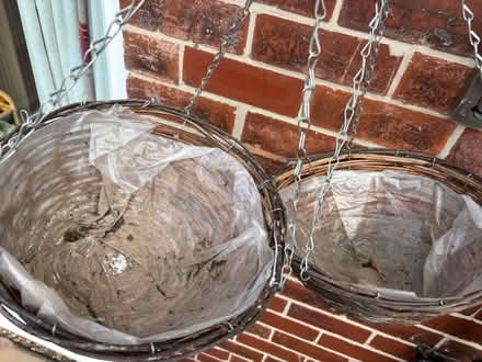 Photo of free 2 hanging baskets (Norton Lees S8) #2