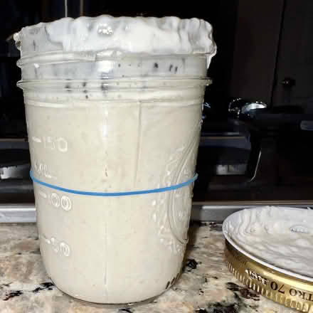 Photo of Sourdough starter (Germantown) #1