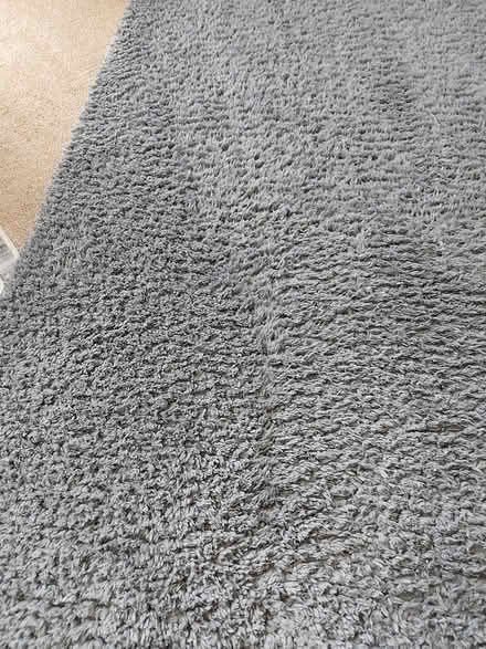 Photo of free Grey Teddy rug (Upper beeding) #1