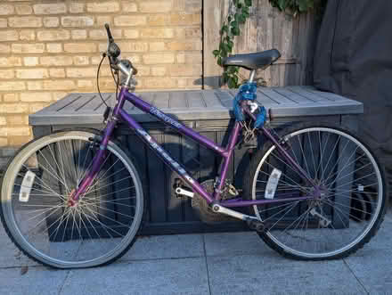 Photo of free Adult Apollo Bicycle - needs a service (Raynes Park SW20) #1