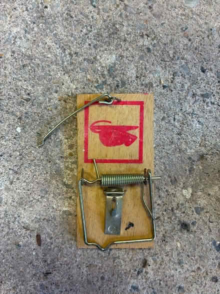 Photo of free Mouse trap (Great Boughton CH3) #1