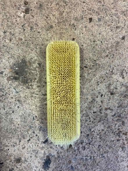 Photo of free Plastic scrubbing brush (Great Boughton CH3) #2