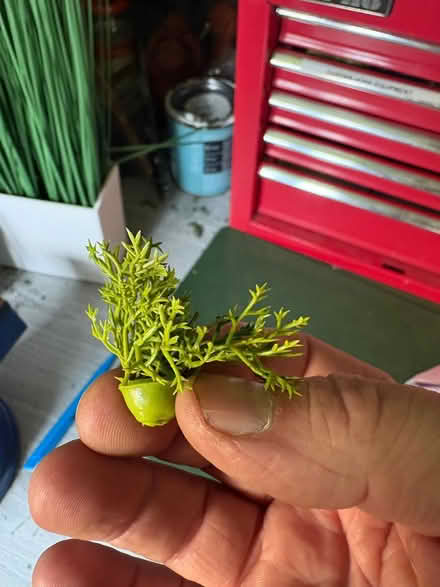 Photo of free fake grass and other fake greenery (Chickenley WF12) #2